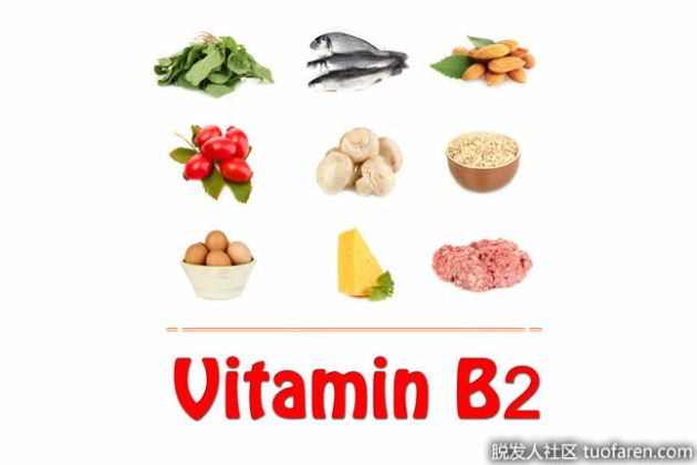 【圖】如何選擇含核黃素的食物？