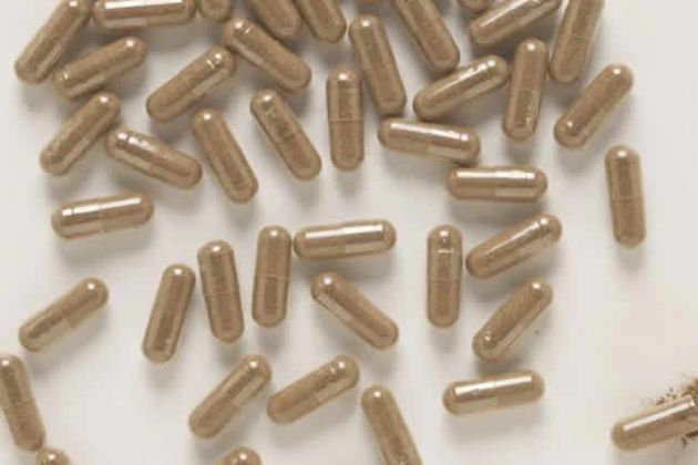 【圖】婦女可以服用鋸棕櫚嗎?