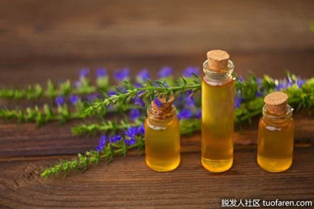 【圖】什麼是牛膝草油？