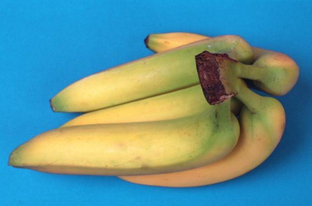 【圖】自制頭髮脆弱易斷的護理方法