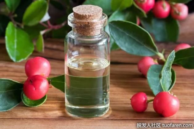 【圖】什麼是冬青精油？