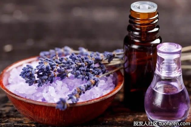 【圖】薰衣草精油的功效