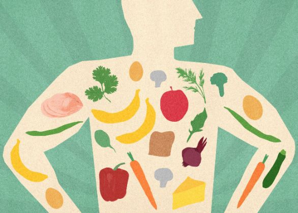 【圖】身體需要的五種主要營養物質