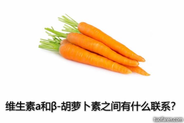 【圖】維生素A和β-胡蘿蔔素之間有什麼聯繫？