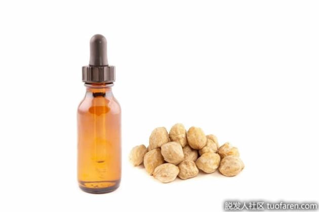 【圖】什麼是Kukui堅果油？