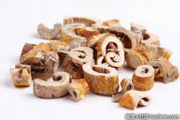 【圖】桑白皮對健康的好處