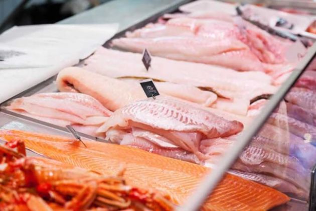 【圖】吃太多魚不健康嗎?