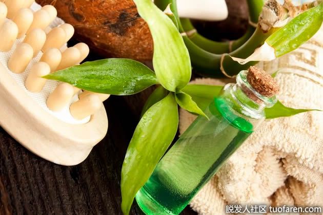 【圖】淋浴後在頭髮上塗抹茶樹油的方法