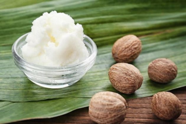 【圖】什麼是乳木果油?