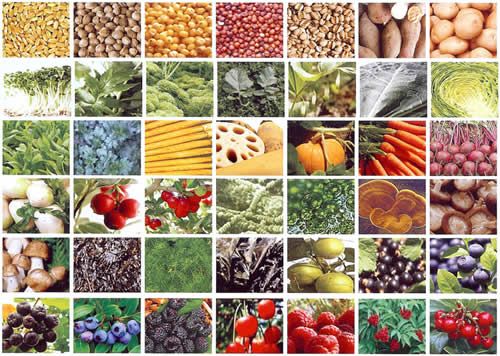 【圖】6種對頭髮有好處的食物