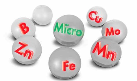 【圖】缺少微量元素會導致脱髮