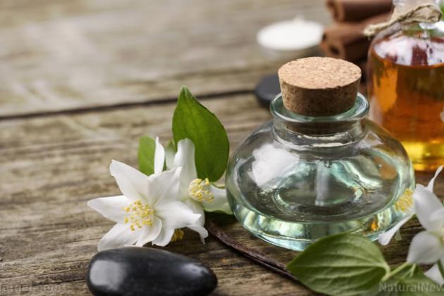 【圖】最好的精油，讓頭髮更健康