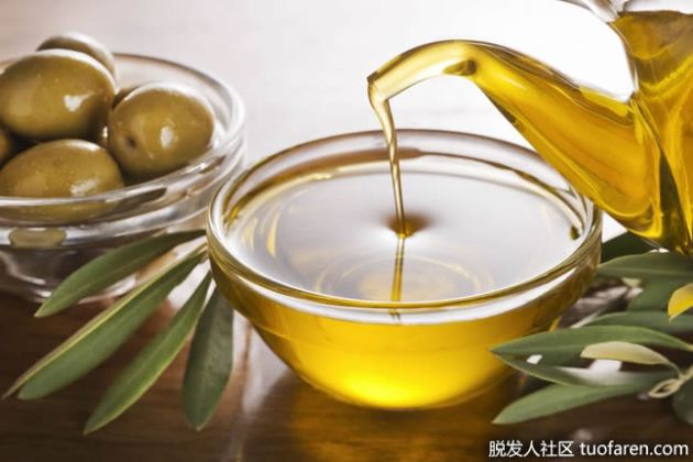 【圖】橄欖油：營養成分