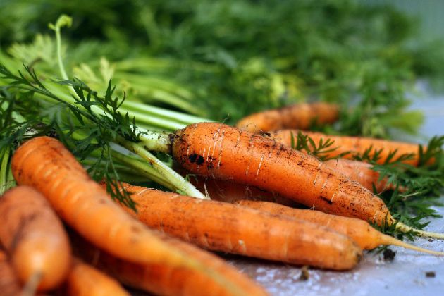 【圖】胡蘿蔔和膽固醇