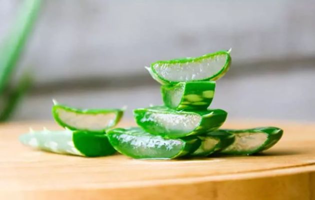 【圖】蘆薈凝膠用於頭髮生長