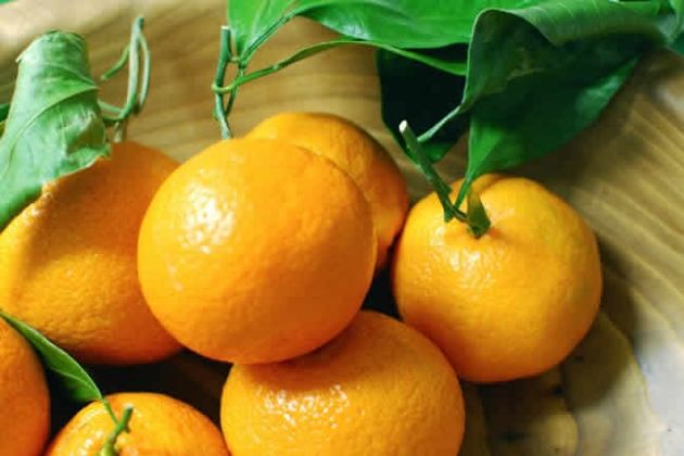 【圖】吃什麼水果對頭髮好