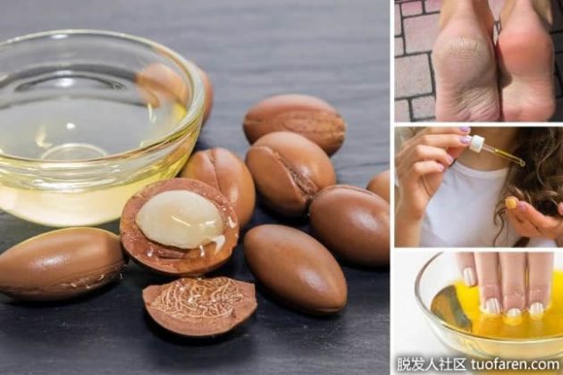 【圖】摩洛哥堅果油介紹