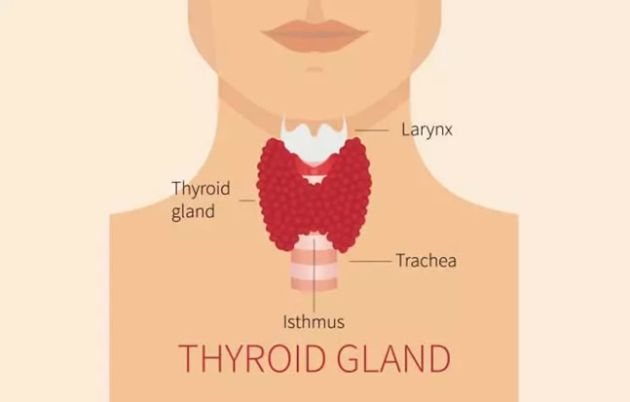 【圖】碘對頭髮生長的好處