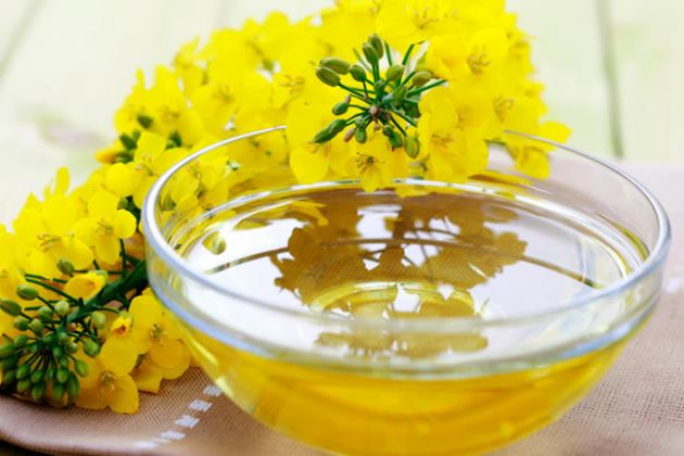 【圖】加拿大芥花油是什麼??