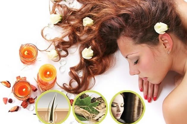 【圖】什麼是脱髮的草藥療法？