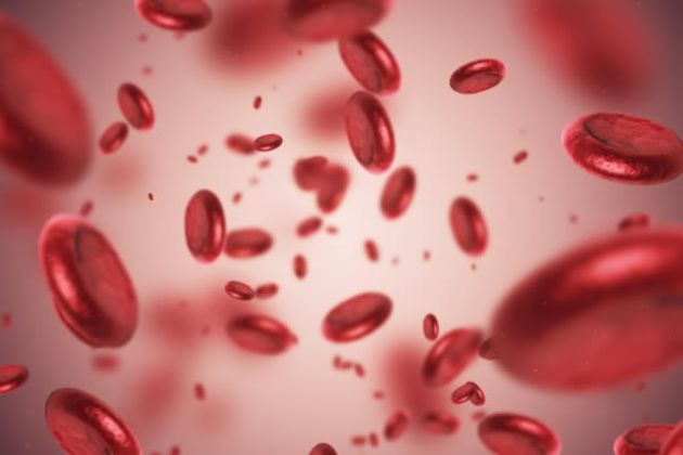 【圖】脱髮可能與缺鐵有關