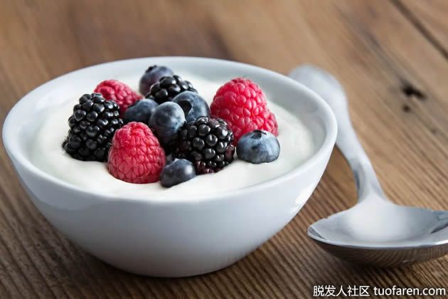 【圖】防止脱髮的食物之希臘酸奶