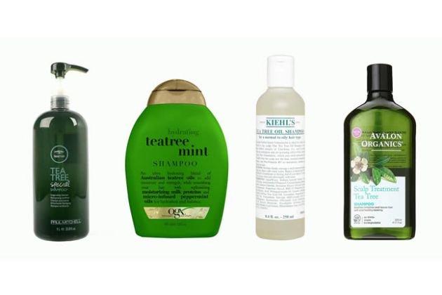 【圖】哪種洗髮水可防止脱髮過多？