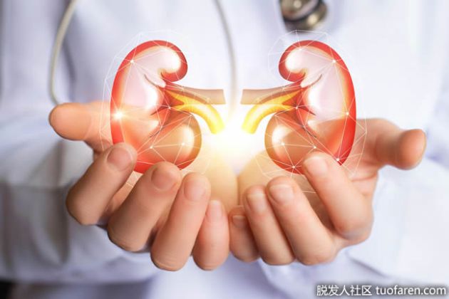 【圖】對腎病最好的食物是什麼？