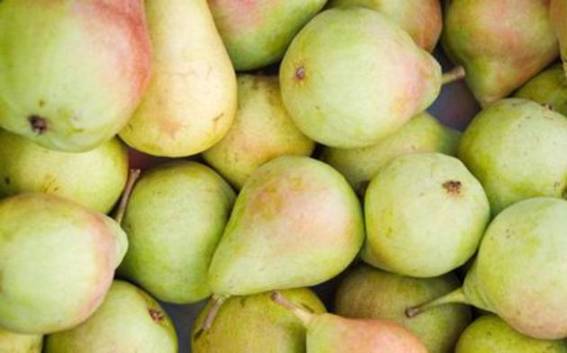 【圖】一個梨有多少卡路里?