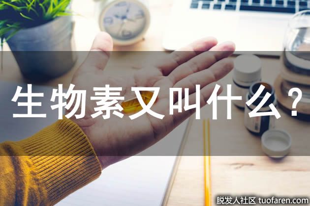 【圖】生物素又叫什麼？