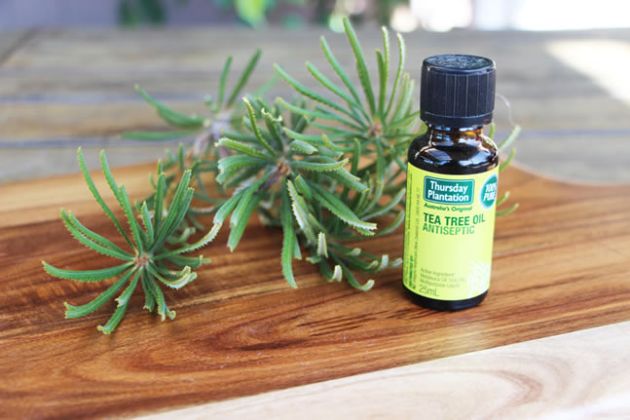 【圖】蓖麻油和茶樹油用於頭髮生長