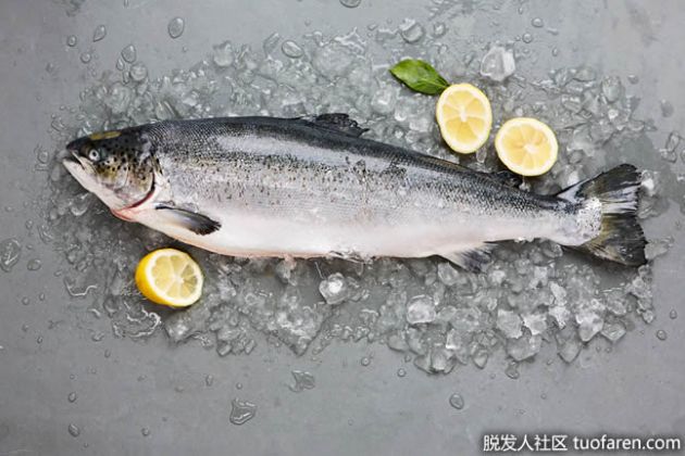 【圖】維生素D來源：鮭魚