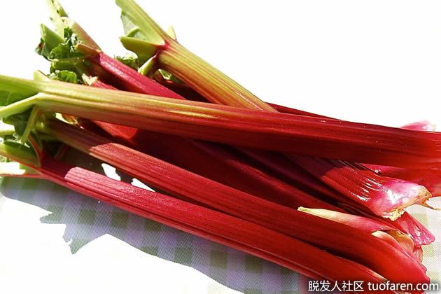 【圖】大黃的好處