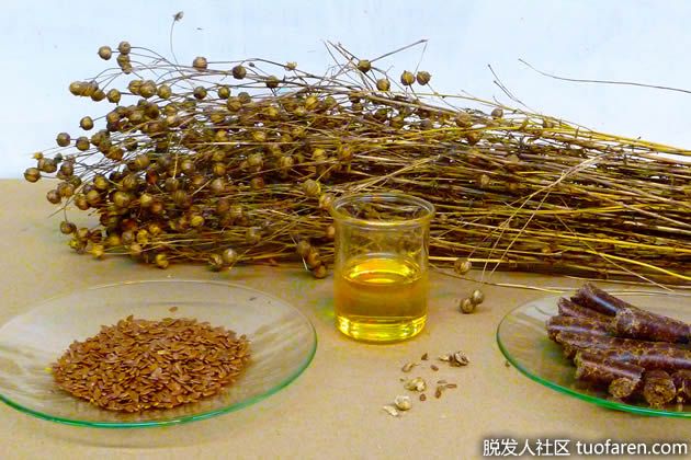 【圖】亞麻籽油的營養成分