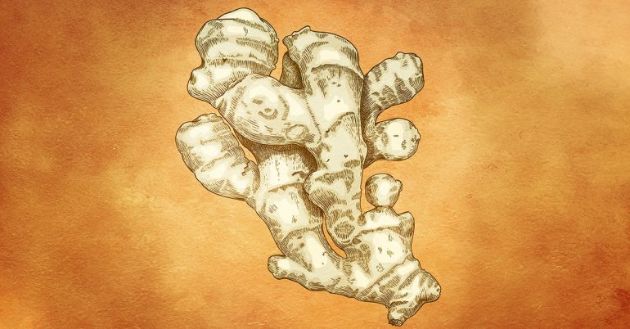 【圖】生薑在懷孕期間安全嗎?多少是安全的?