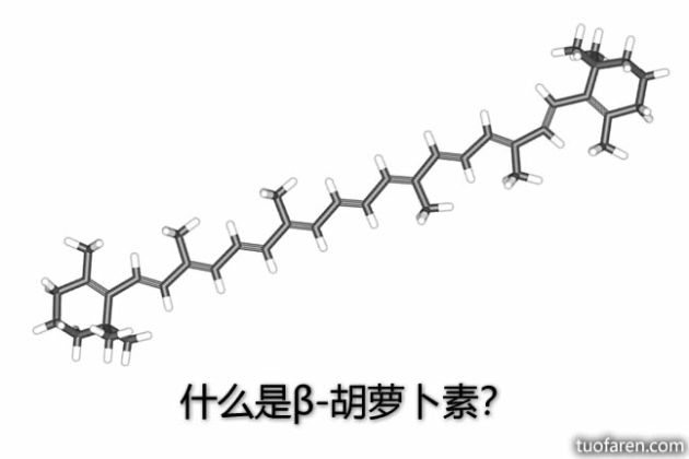 【圖】什麼是β-胡蘿蔔素？