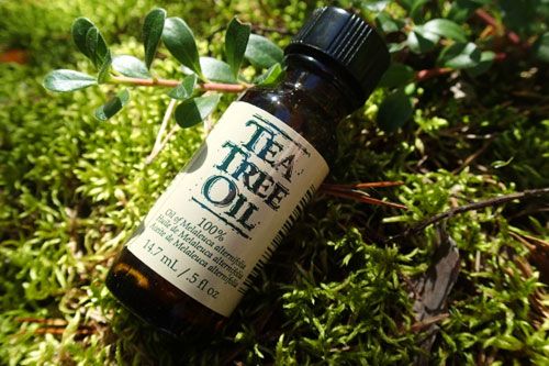 【圖】能用茶治療頭皮屑嗎?