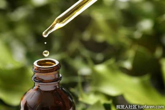 【圖】如何使用或獲得更多的維生素E？