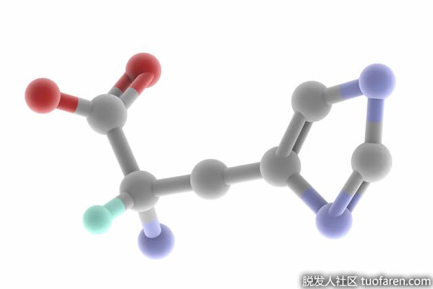 【圖】氨基酸的好處