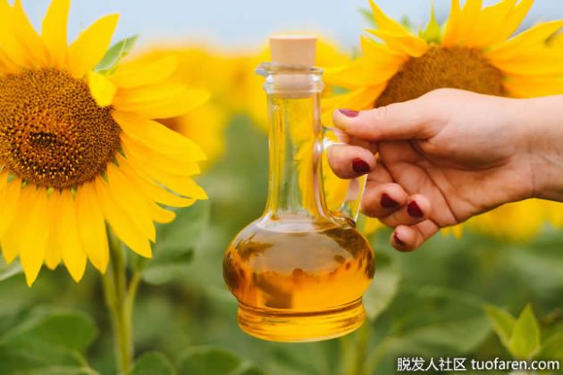 【圖】什麼是葵花籽油？