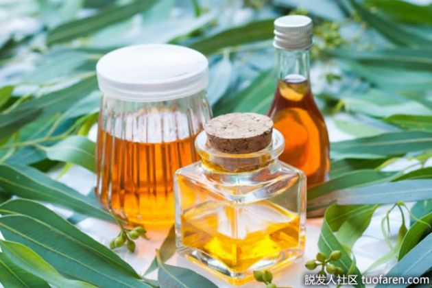 【圖】桉樹油洗髮水的重要性