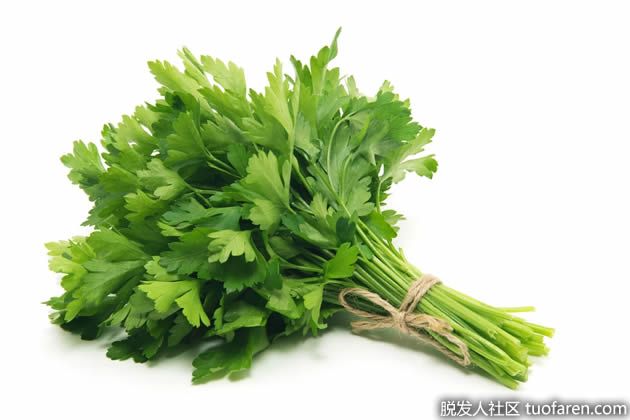 【圖】意大利歐芹的好處