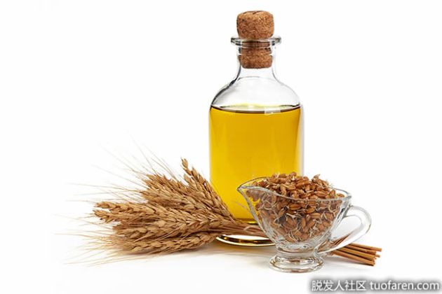 【圖】小麥胚芽油護髮：您從未聽説過的好處