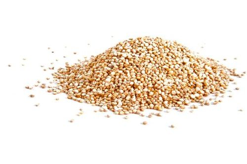 【圖】你無法從素食飲食中獲得的氨基酸