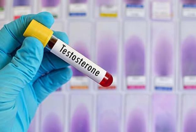 【圖】睾酮是什麼?