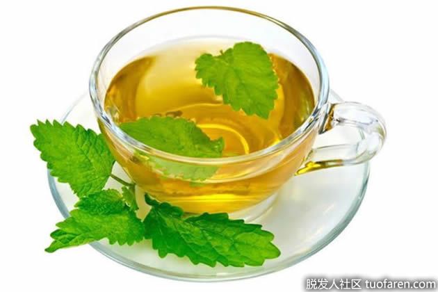 【圖】蕁麻茶的好處
