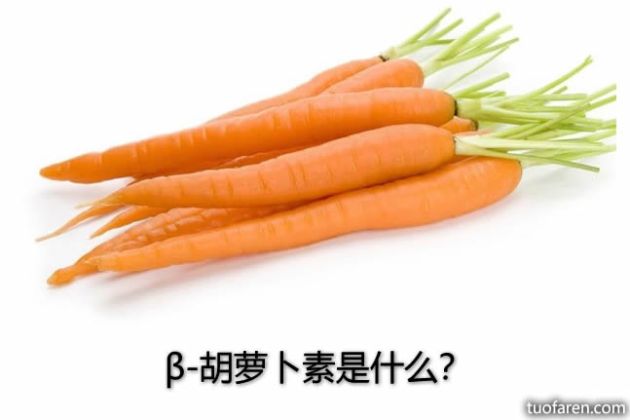 【圖】β-胡蘿蔔素是什麼？