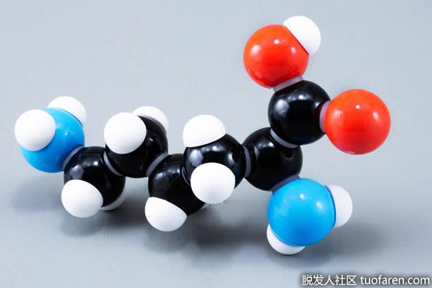 【圖】賴氨酸的好處