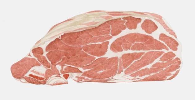 【圖】維生素B的最佳形式