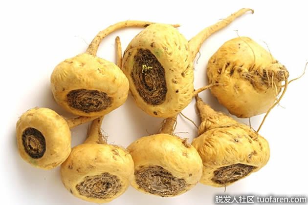 【圖】瑪咖的好處